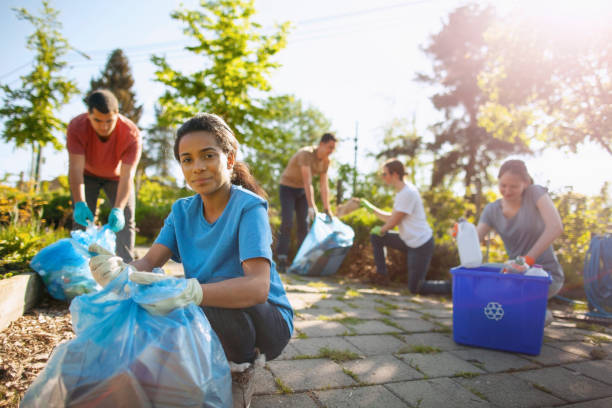 Yard Cleanup Services